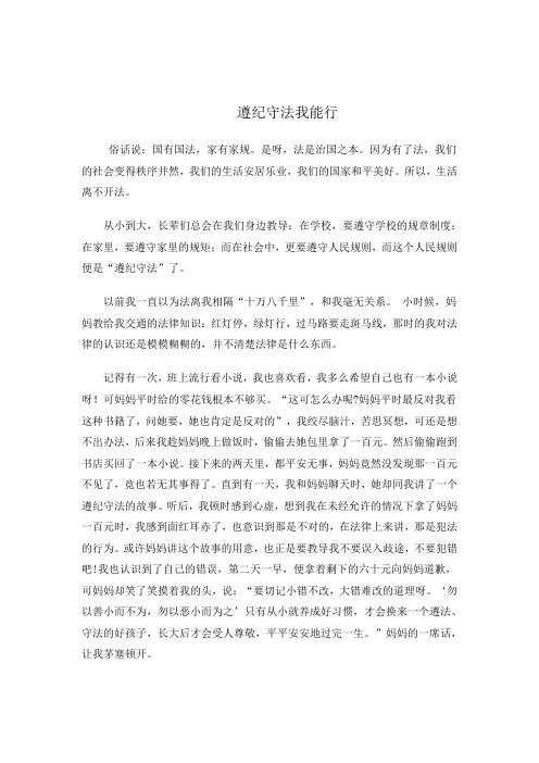 遵纪守法我能行
