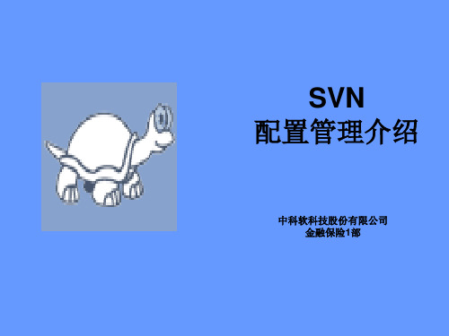 SVN培训