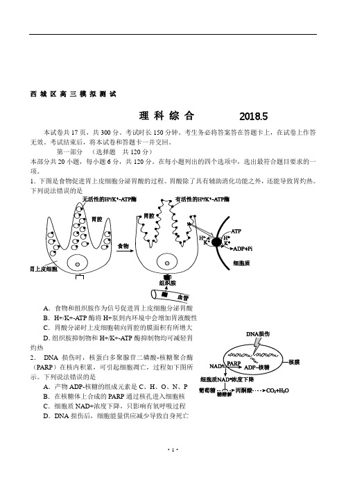 北京市西城区2018届高三二模试题理科综合试卷(Word版-含答案)