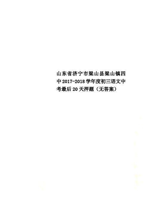 山东省济宁市梁山县梁山镇四中2017-2018学年度初三语文中考最后20天押题(无答案)