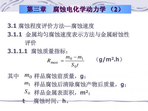 2.金属腐蚀III(2,3)