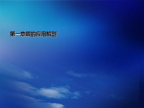 第一章眼的应用解剖