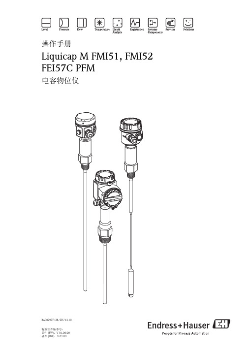 Endress Hauser_FMI51操作手册