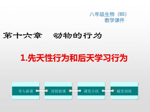 北师大版八年级生物上册第16章动物的行为PPT精品教学课件+习题课件