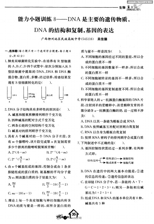 能力小题训练8——DNA是主要的遗传物质,DNA的结构和复制,基因的表达