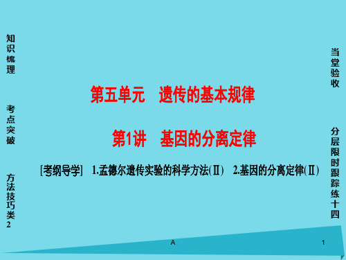 (通用版)2017版高考生物一轮复习 第5单元 遗传的基本规律 第1讲 基因的分离定律课件