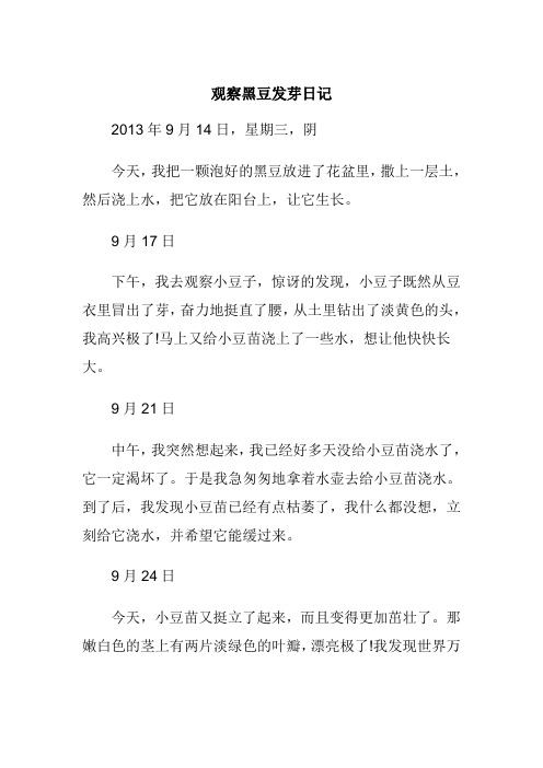 观察黑豆发芽日记