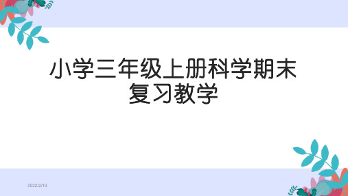 教科版小学科学三年级上册科学期末复习课件