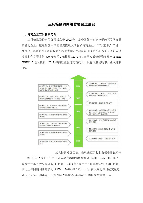 三只松鼠的网络营销渠道建设