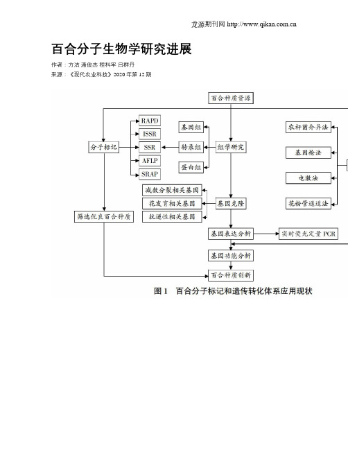 百合分子生物学研究进展