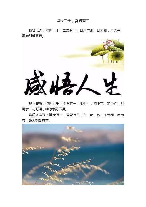 浮世三千，吾爱有三