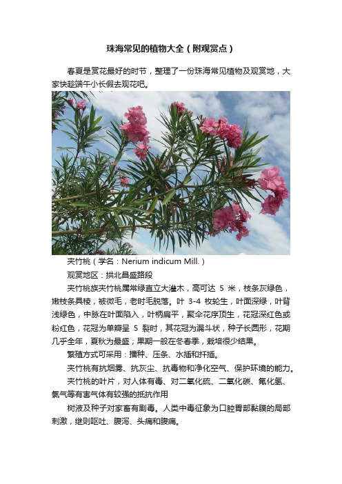 珠海常见的植物大全（附观赏点）