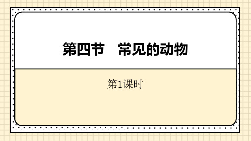 浙教版七年级科学上册《常见的动物》PPT精品教学课件