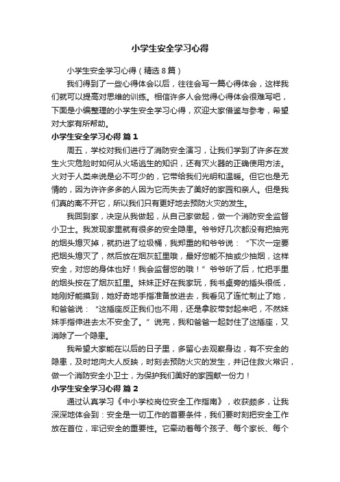 小学生安全学习心得