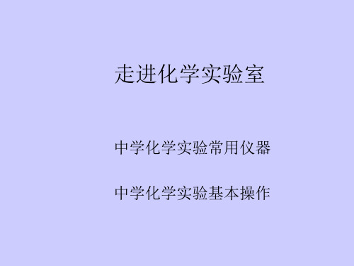 初中化学九年级上册人教版 第一单元课题3 走进化学实验室(共30张PPT)