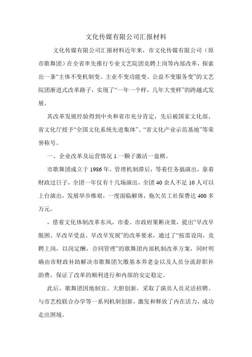 文化传媒有限公司汇报材料.doc