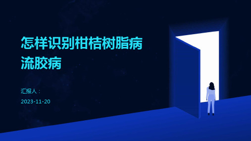 怎样识别柑桔树脂病流胶病