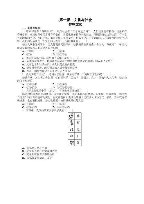 课后训练{第一课文化与社会  体味文化}