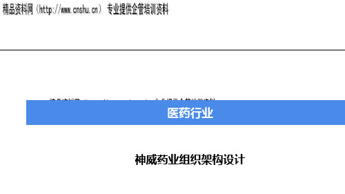 某药业公司组织架构设计(ppt 31页)