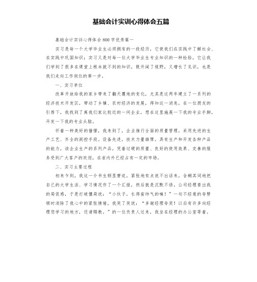 基础会计实训心得体会五篇