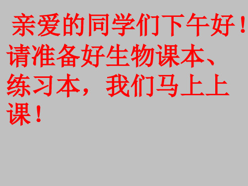 321人体与外界的气体交换(第一课时)-山东省武城县济南版七年级生物下册课件(共43张PPT)