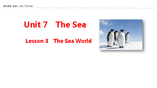 北师大版高中英语必修3Unit 7 The Sea  Lesson 3 The Sea World 教学课件