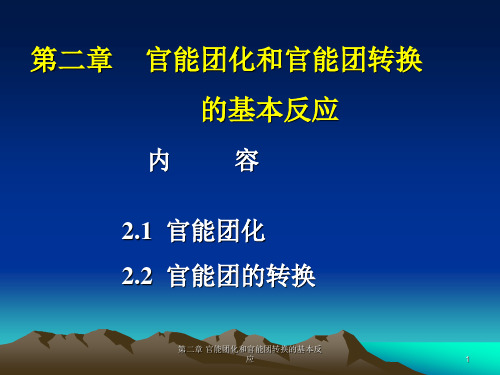 官能团化和官能团转换的基本反应