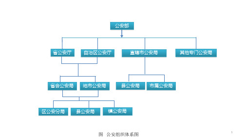 公安机关组织架构图PPT演示课件