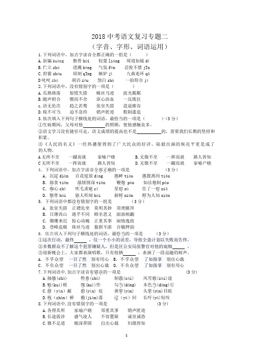 2018中考语文复习专题二(字音、字形、词语运用)