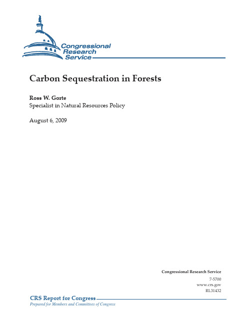 Carbon Sequestration in Forests