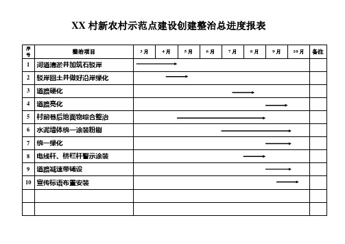 XX村新农村示范点建设创建整治进度报表