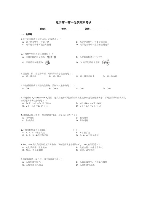 辽宁高一高中化学期末考试带答案解析
