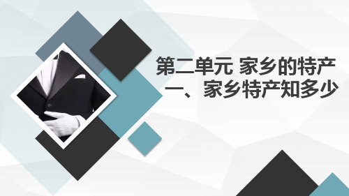 一家乡特产知多少(课件)六年级上册综合实践活动