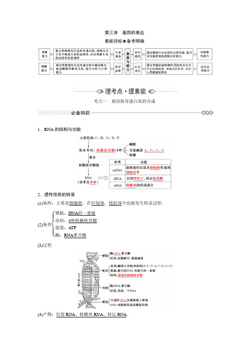 新高考 一轮复习 人教版 基因的表达 教案