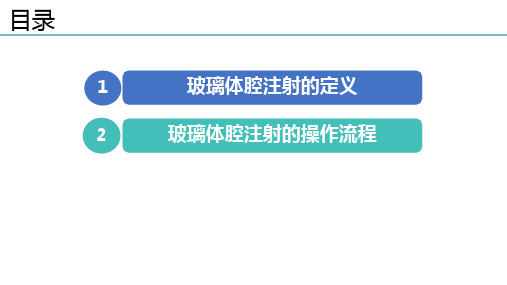 玻璃体腔注射标准操作流程-秦琼