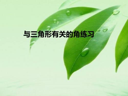 与三角形有关的角练习1