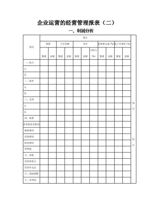 企业运营的经营管理报表(二)