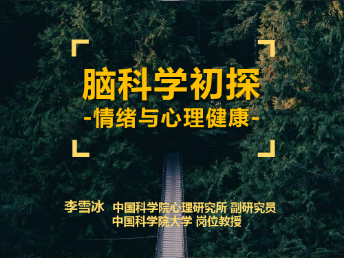 脑科学初探——情绪与心理健康--清华0826