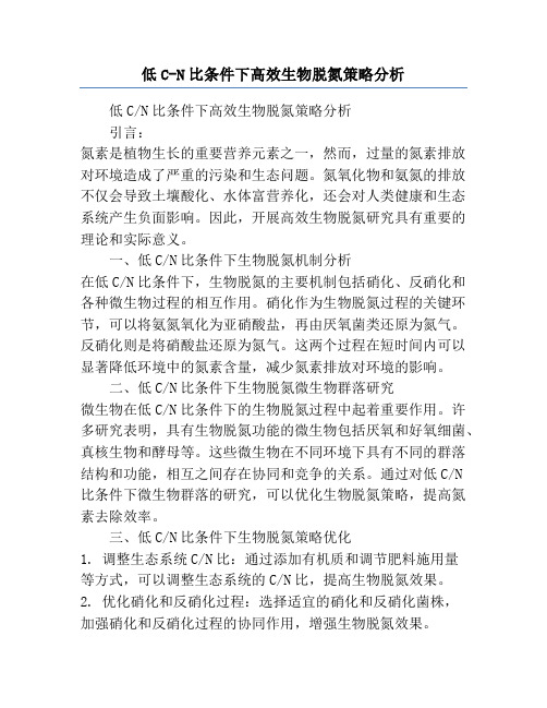 低C-N比条件下高效生物脱氮策略分析