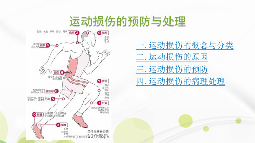 人教版八年级体育全一册：常见运动损伤的预防和紧急处理