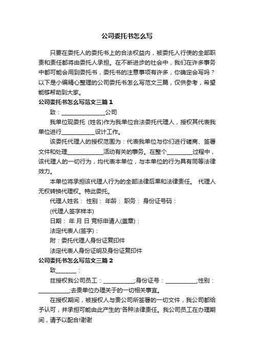 公司委托书怎么写范文三篇