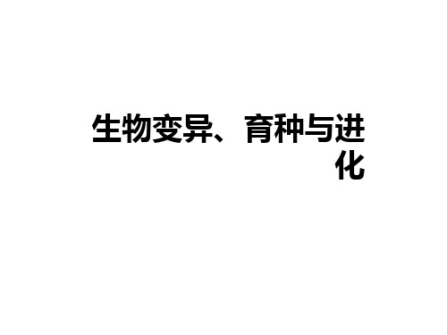 2021届高考生物二轮复习课件：生物变异、育种与进化 