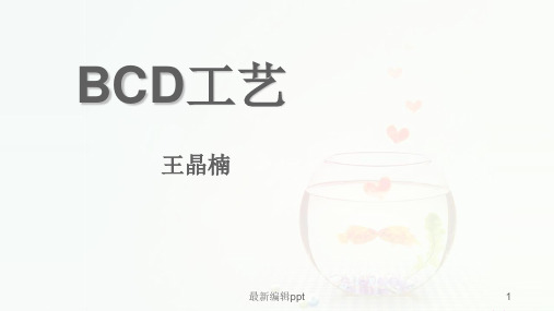 BCD工艺技术