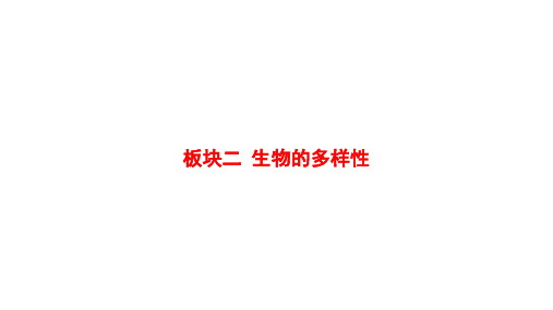 2025年广东省中考生物总复习热门板块突破课件：板块二+生物的多样性