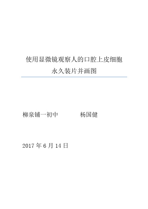 生物人教版七年级上册使用显微镜观察人的口腔上皮细胞永久装片并画图