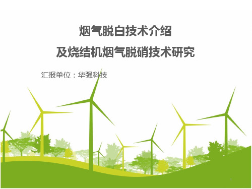 烟气脱白技术介绍及烧结机烟气脱硝技术研究PPT演示课件