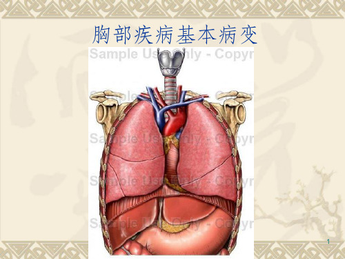 【学习课件】第5-6课胸部疾病基本病变