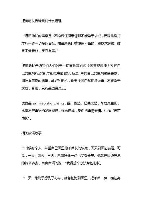 揠苗助长告诉我们什么道理