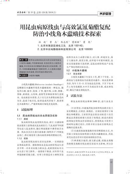 用昆虫病原线虫与高效氯氰菊酯复配防治小线角木蠹蛾技术探索