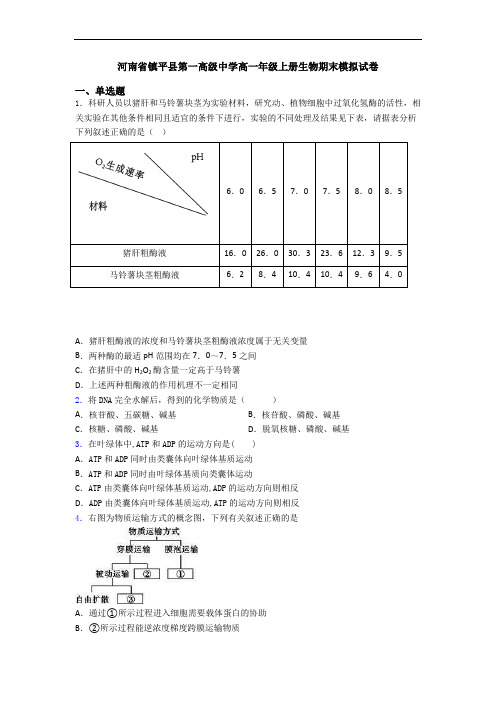 河南省镇平县第一高级中学高一年级上册生物期末模拟试卷